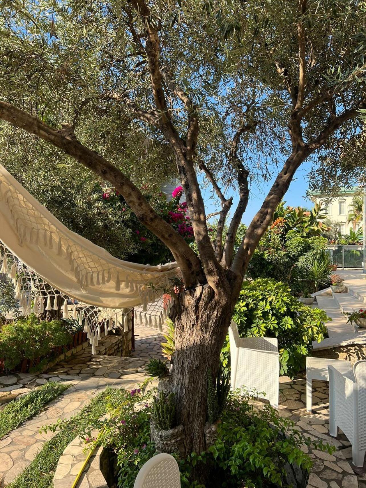 Hotel Orange Dhërmi Extérieur photo